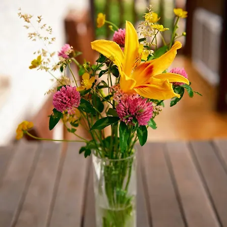 Apartma Pr Cehc Tolmin