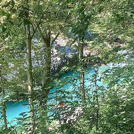 Apartma Pr Cehc Διαμέρισμα Tolmin