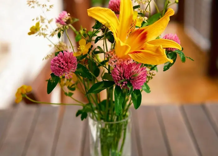 Apartma Pr Cehc 托尔明