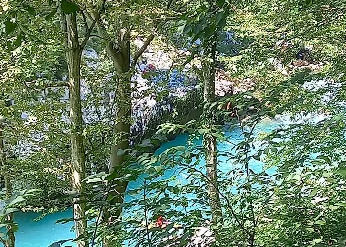 Apartma Pr Cehc 公寓 托尔明